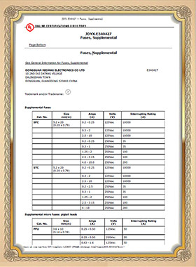China Dongguan Tianrui Electronics Co., Ltd certificaten